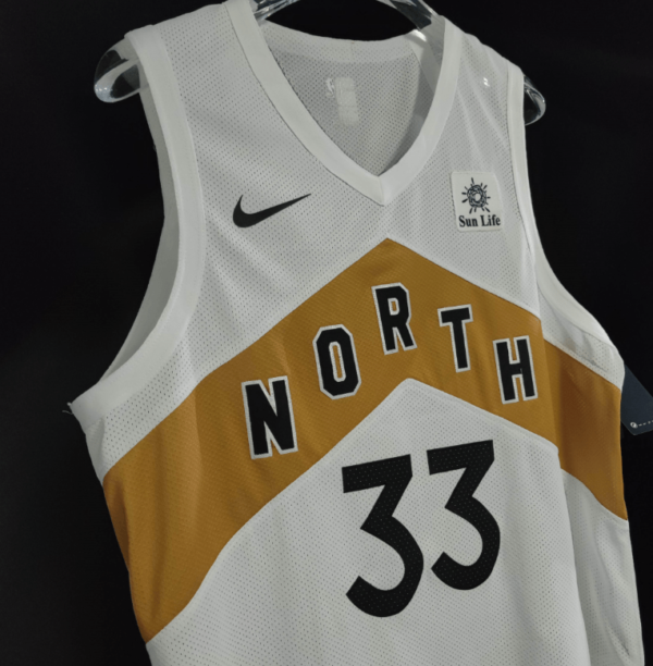 Custom Toronto Raptors  Jersey - Image 4
