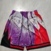 Toronto Raptors Purple Swing Pocket Pants - Image 2